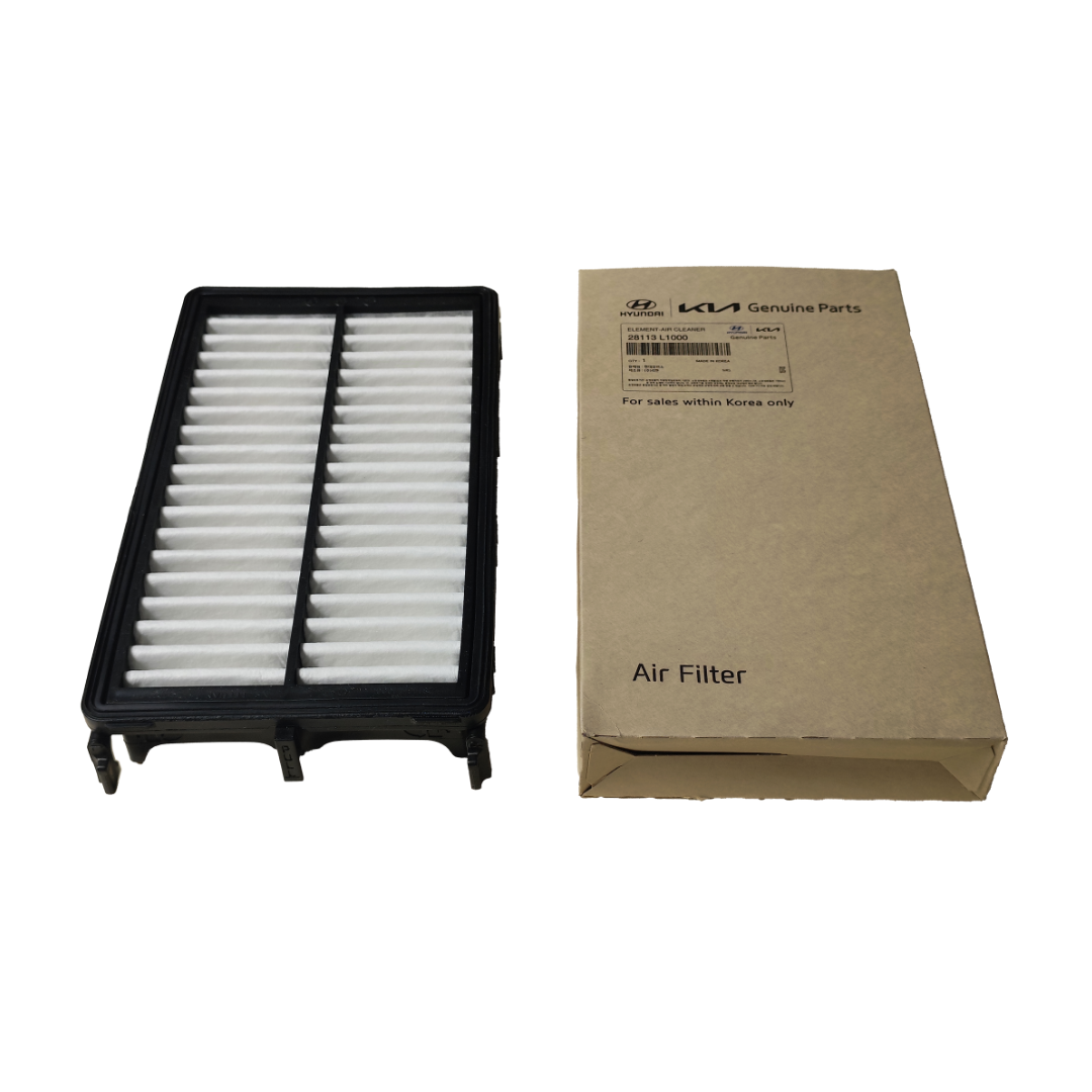 Filtro de Aire