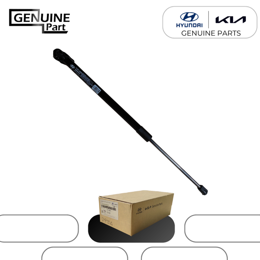 Amortiguador Portón Derecho