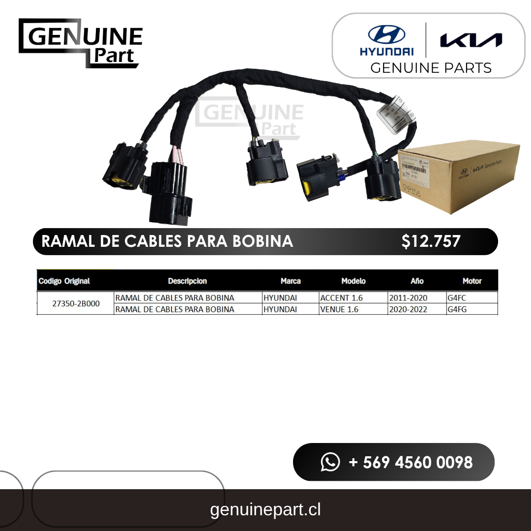 Ramal de cables para bobina