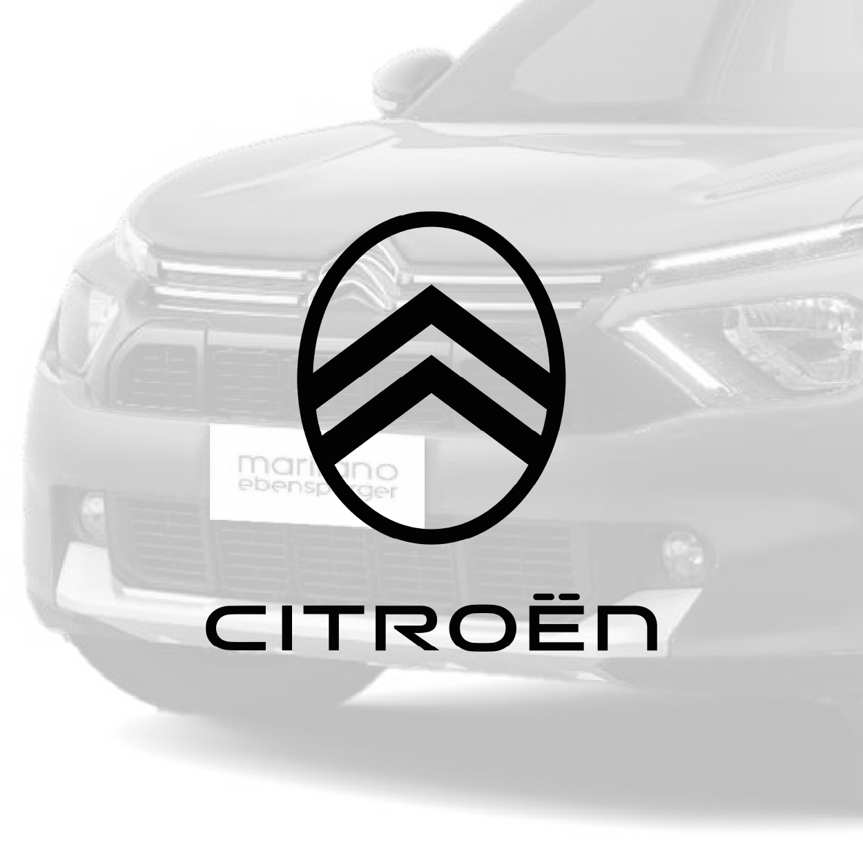 Repuestos Citroën