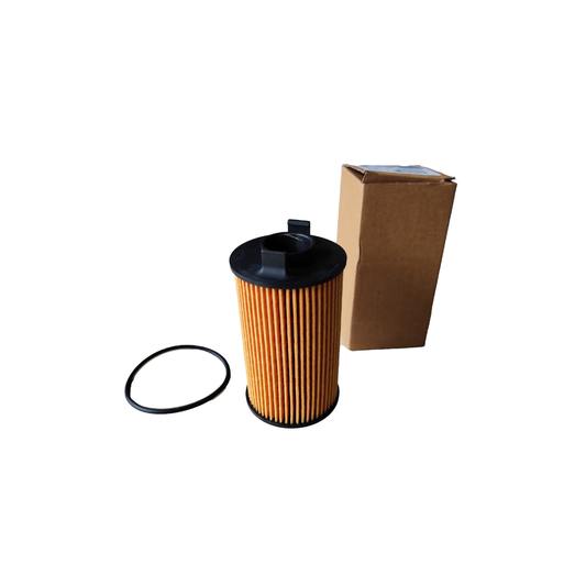 Filtro de Aceite Maxus G10