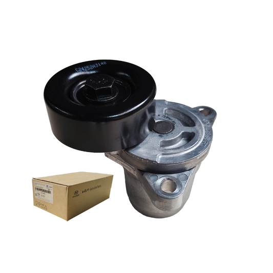 Tensor Correa Alternador