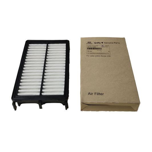 Filtro de Aire