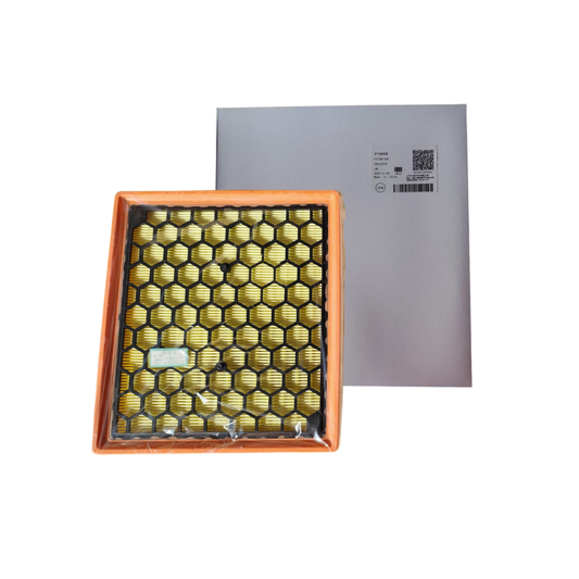 Filtro de Aire Maxus T60, T90, G10, Deliver 9 cc 2.0 (2021/_)