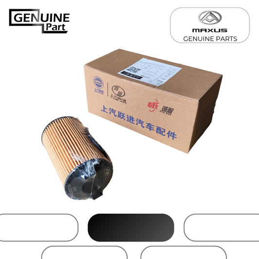 114434X20136 Filtro de Aceite Maxus C35 2.0